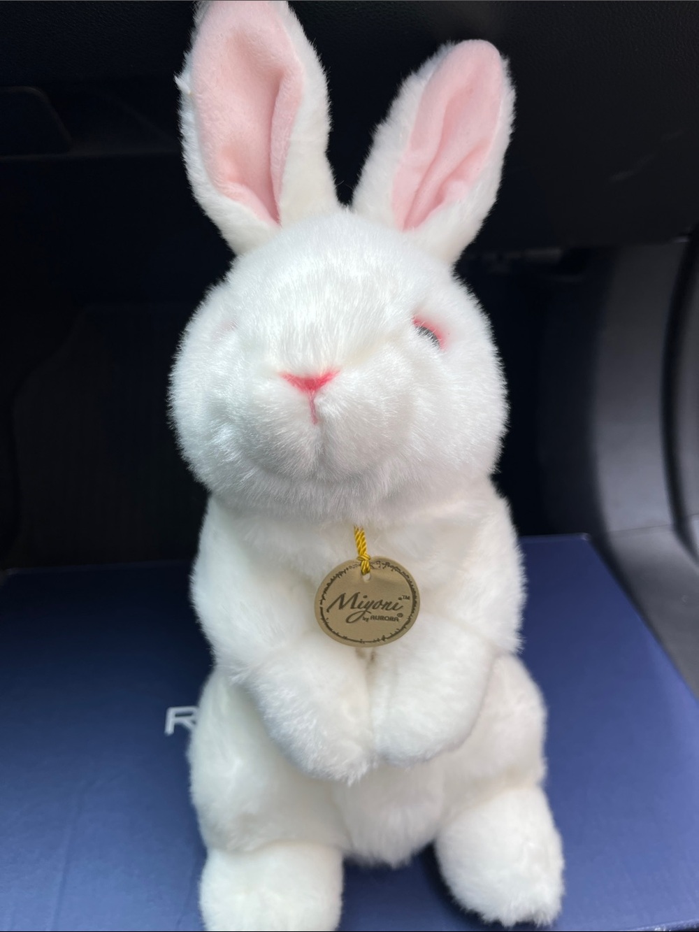 Plush White Bunny with Pink Ears - Soft Small Pet Toy